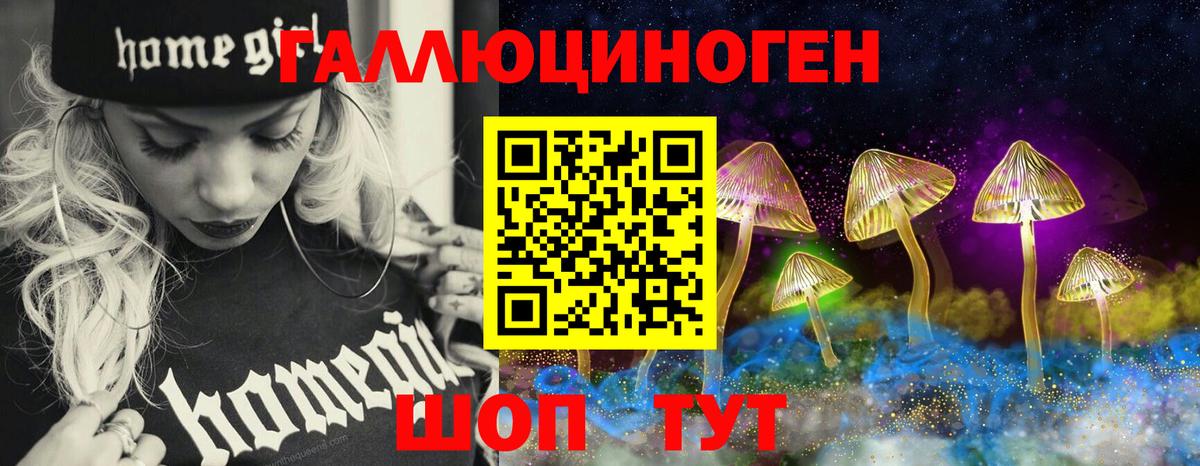 Рубцовск  Псилоцибиновые грибы Psilocybe  сколько стоит  Вход с VPN  Псилоцибиновые грибы Psilocybine cubensis 
